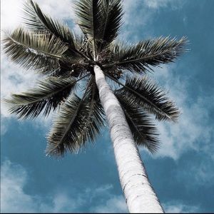 Meet your Posher, Luxiehanger!